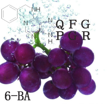 Promotores de Crescimento de Plantas 6-Benzilaminopurina (6-BA)